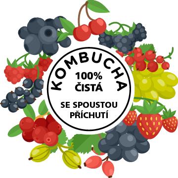 01-kombucha-spousta-prichuti