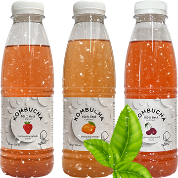 05-kombucha-malinovy-caj