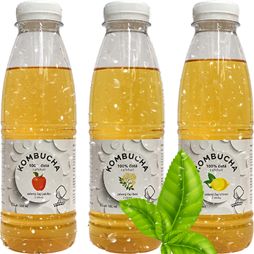 06-kombucha-zeleny-caj